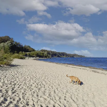 Dedala 300m To The By Renters *