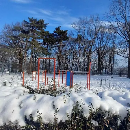 Dedala 300m To The With Parking By Renters Apartment *